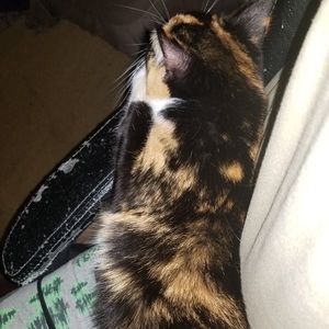 Meet your Posher, Jason